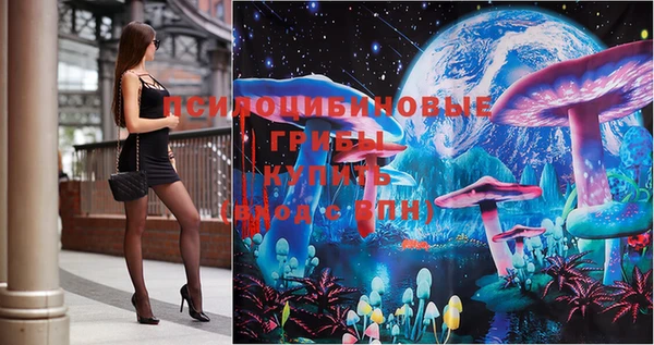 spice Алексеевка