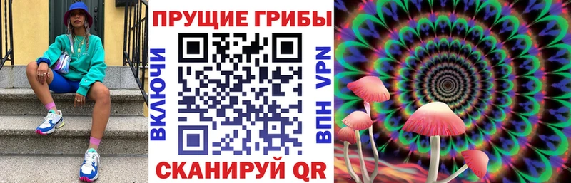 Псилоцибиновые грибы Psilocybe  даркнет состав  Лебедянь 